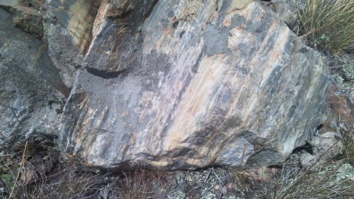 Гигантские зелёные валуны для ландшафтного дизайна весом более 5 тонн купить в Республике Ингушетия